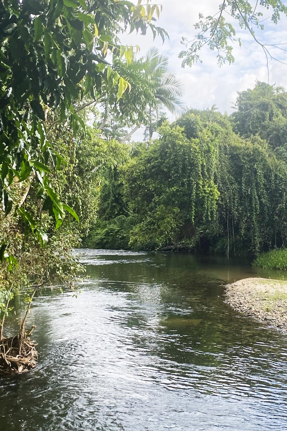 Liverpool Creek Swim Hole