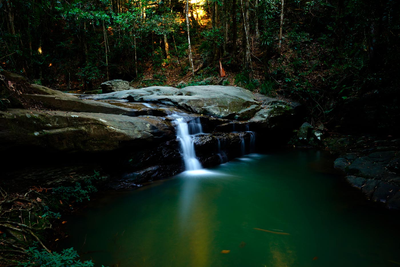 Waterfall in Buderim Forest Park