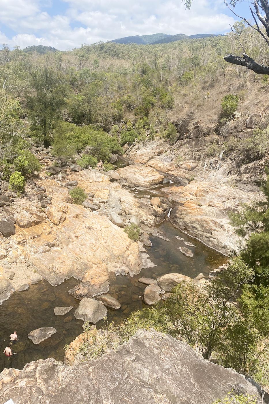 The Queensland Savannah!