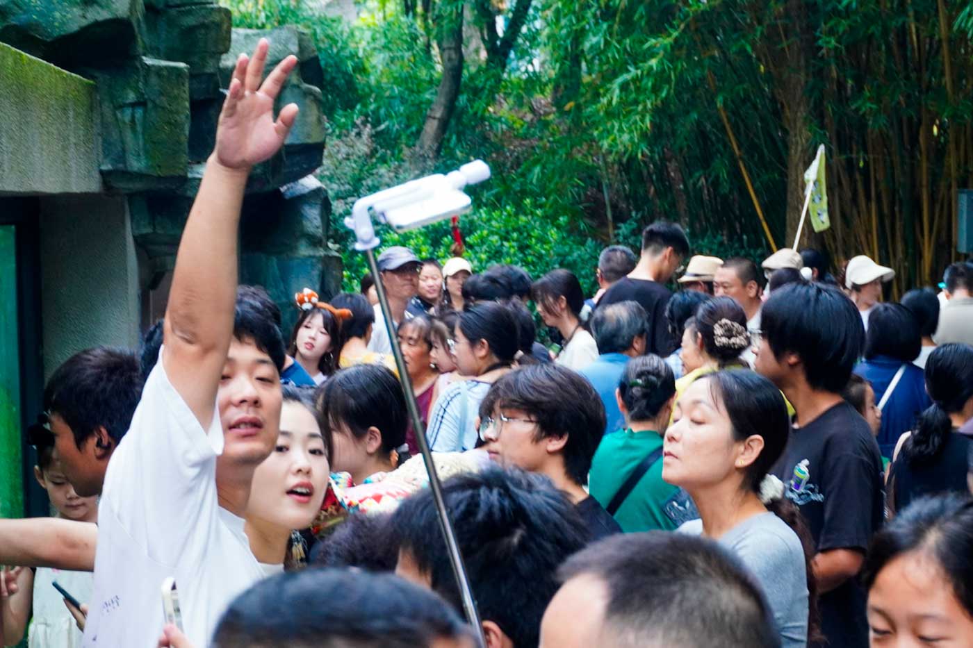 Some areas are protected by glass