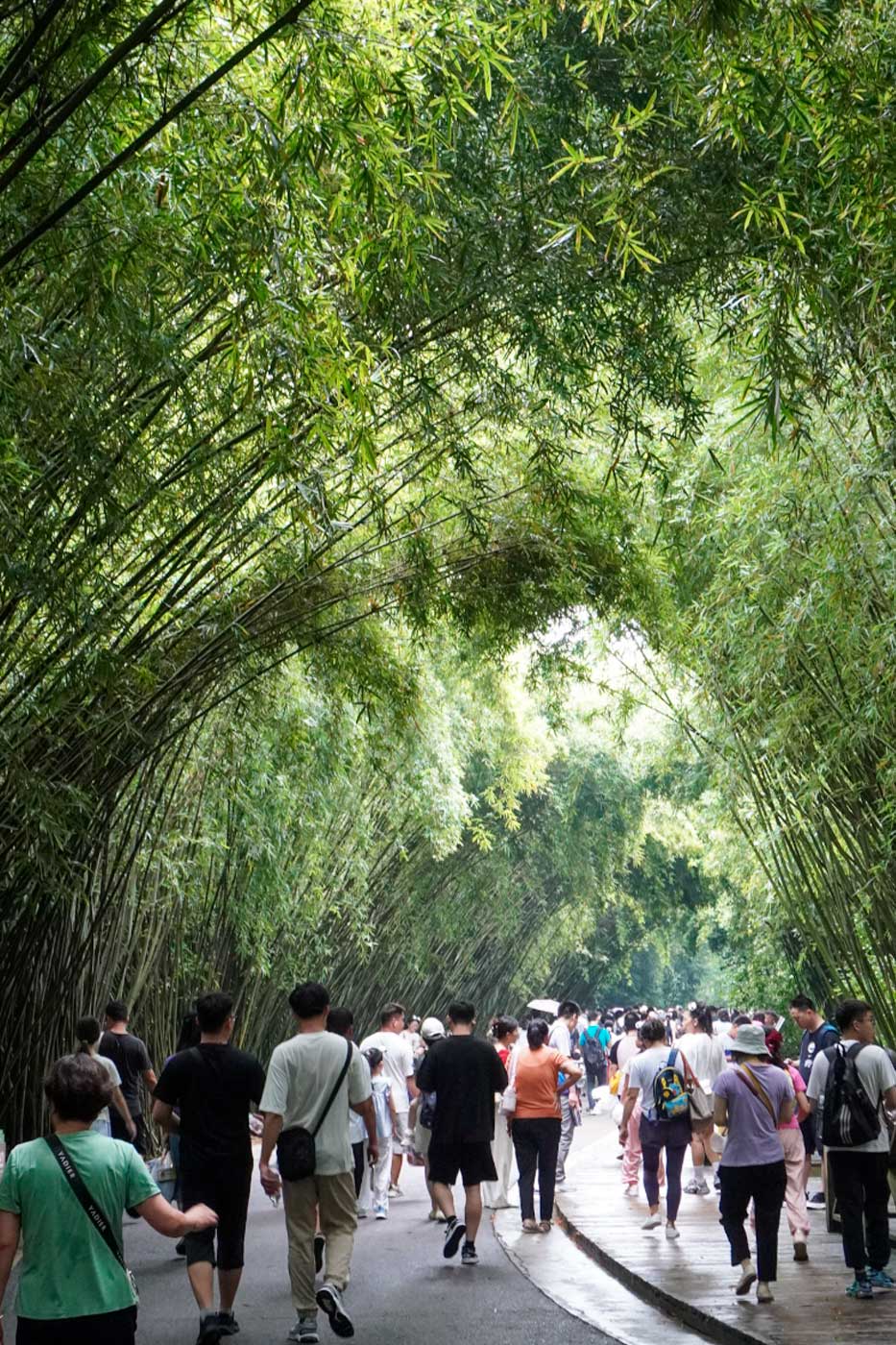 The main entrance is very well maintained