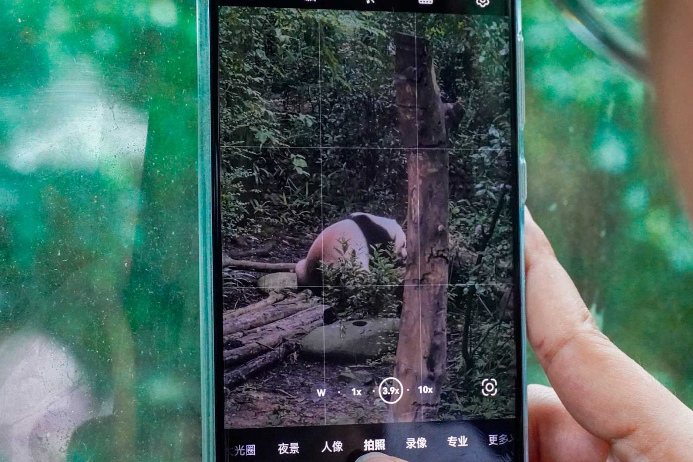 It looks better when you zoom in