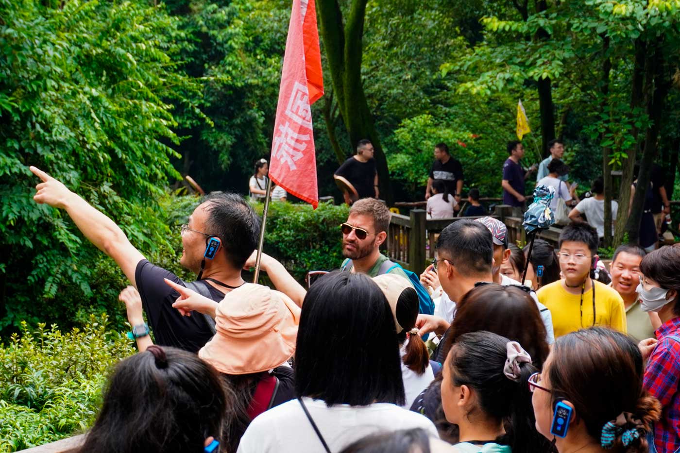 Tourists spot a panda at the Chengdu base