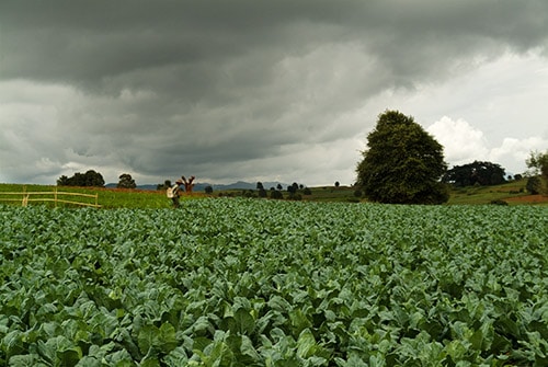 paisaje1