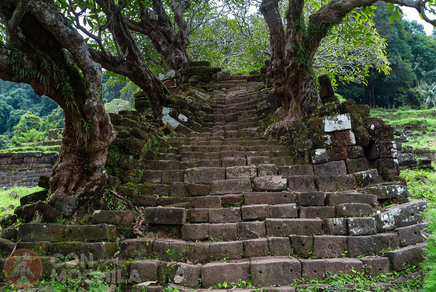Y más escaleras...