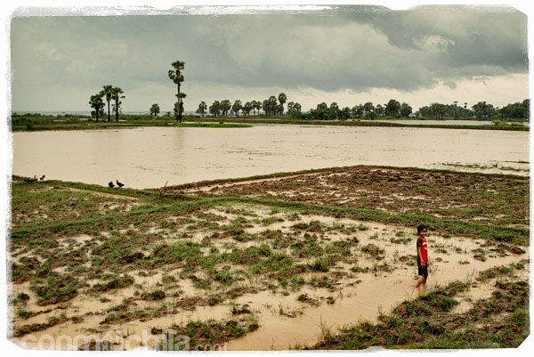 Paisajes de Camboya