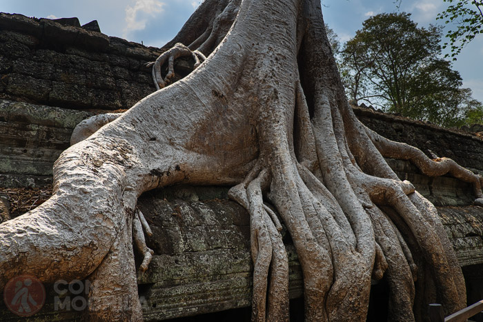 Bienvenidos a Ta Prohm