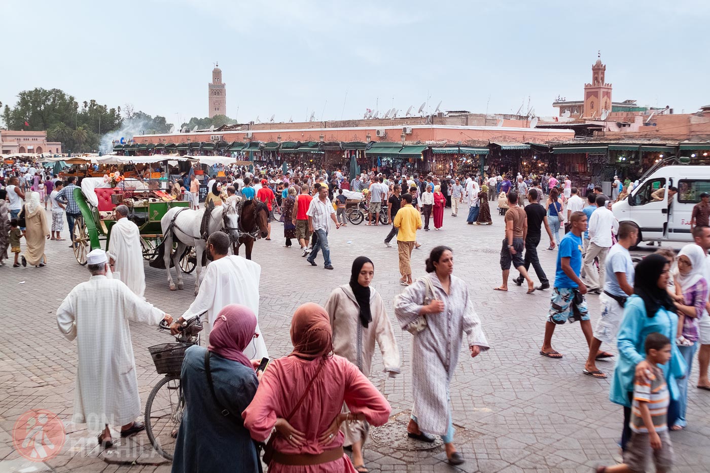 Empieza el espectáculo! Bienvenidos a la plaza Djemaa el-Fna