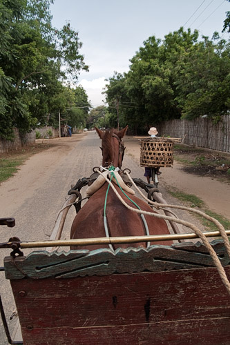 Carro tirado por un caballo en Bagan