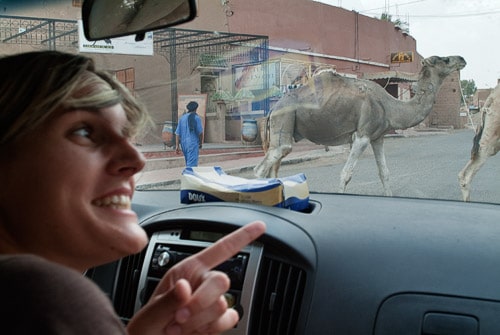 Ya empezábamos a ver camellos...