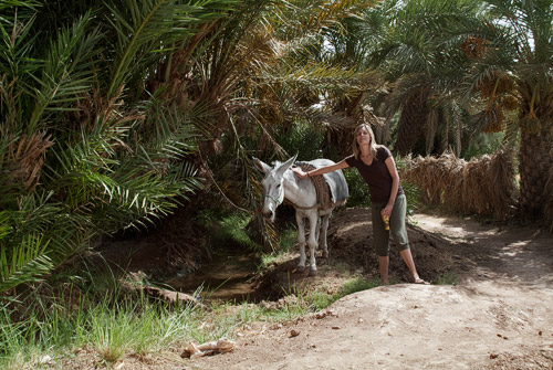 Haciendo amigos en el palmeral de Zagora