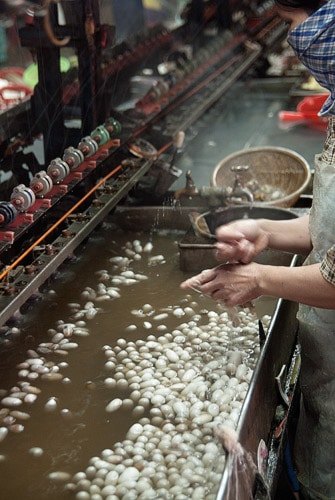 Fábrica de extracción de seda