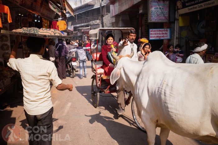 Recuerda contratar un buen seguro de viaje de India