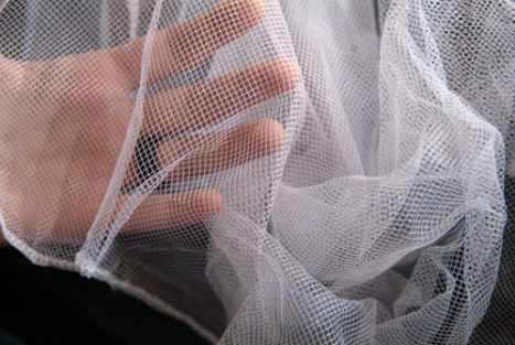 Detalle de la malla