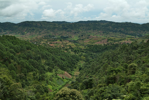 Paisajes llenos de vegetación