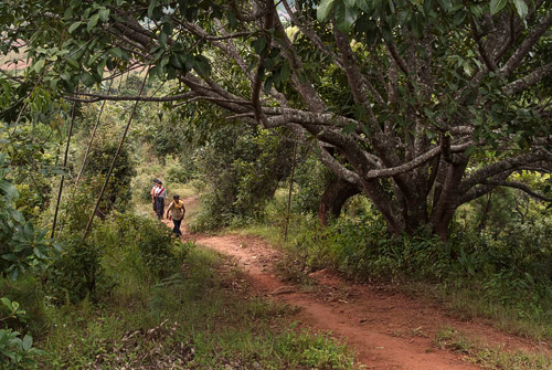 Los senderos de la ruta