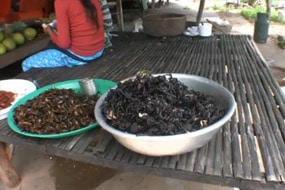video camboya 27