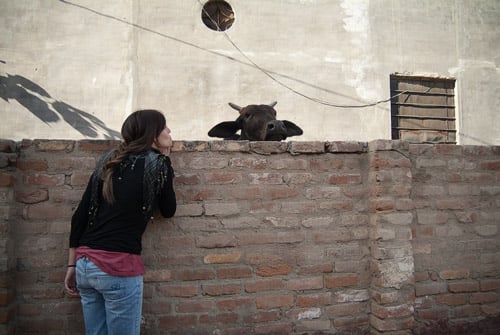 Nuestra vecina
