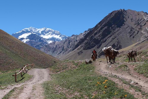 Camino con vistas