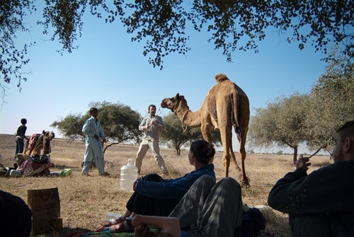 Secuencia adiestrador de camellos 1