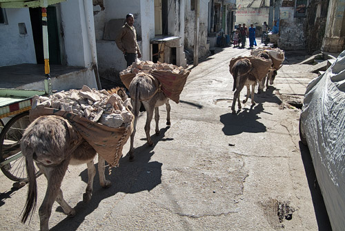 Los trabajadores burros con su carga