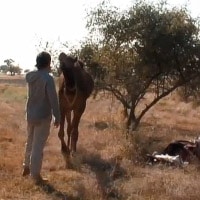 img india video 13