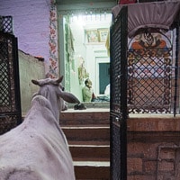Jaisalmer