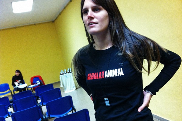Albalat Animal