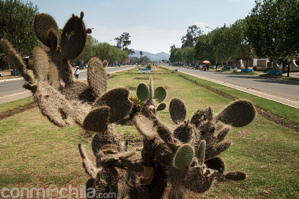 Jardín de la avenida de la Independencia