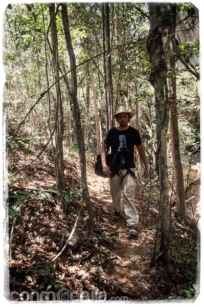 Y vuelve a llegar la selva a nuestro camino