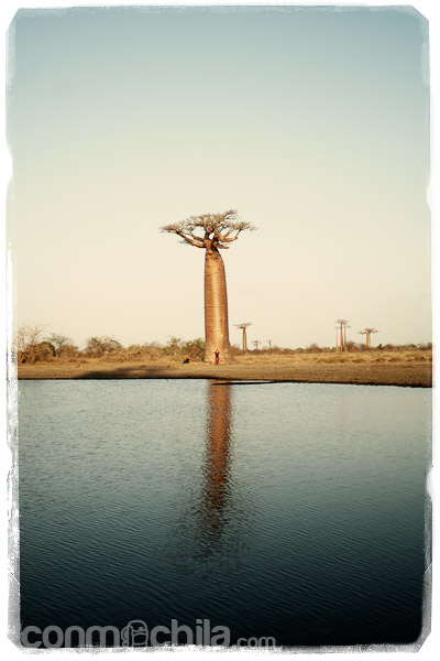 Baobab y Carme. ¿Me veis?