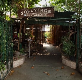 Jolly Frog guesthouse