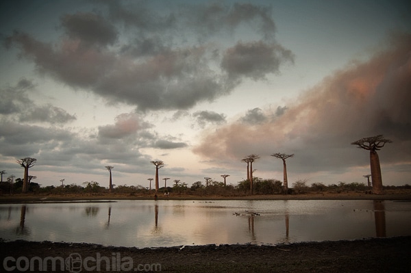 Reflejos en el lago al atardecer