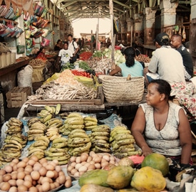 Diario de viaje 14 a Madagascar