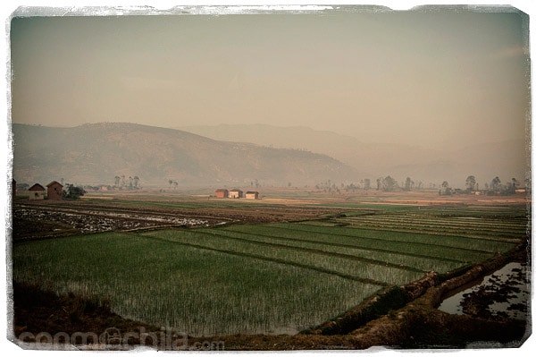 Los paisajes del trayecto