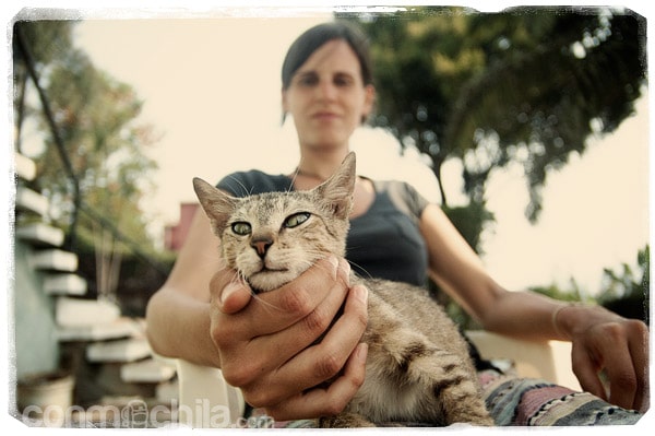 Con "nuestro" nuevo gato Leonard