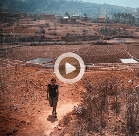 Vídeo 32 Madagascar