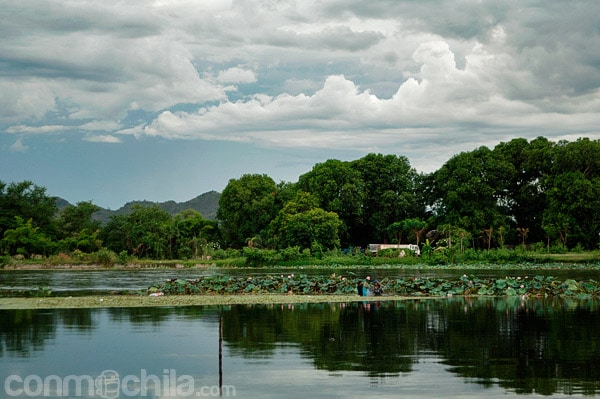 Vistas desde Sugar Cane
