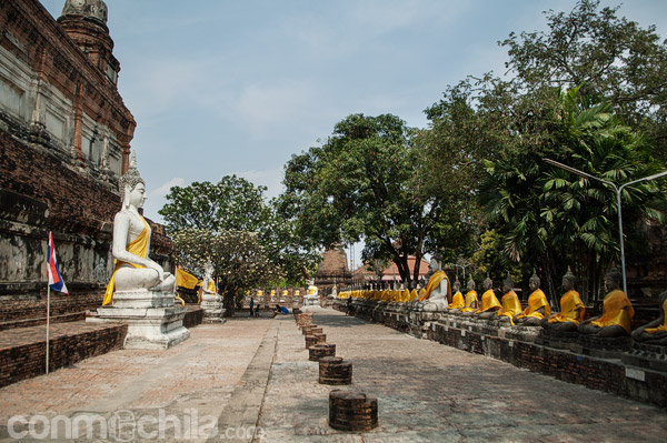 Hilera de imágenes de Buda