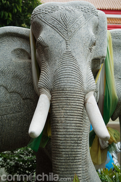 Un elefante a la entrada del templo