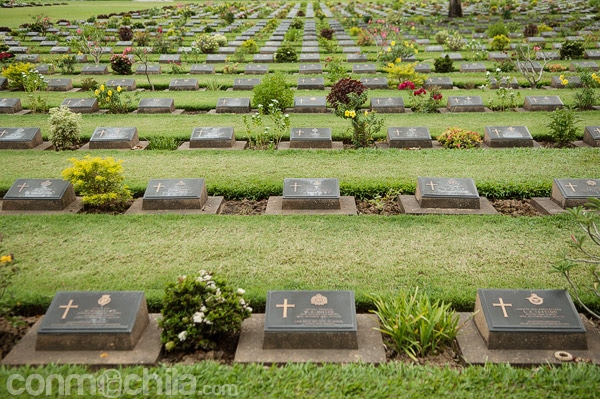 Tumbas del cementerio