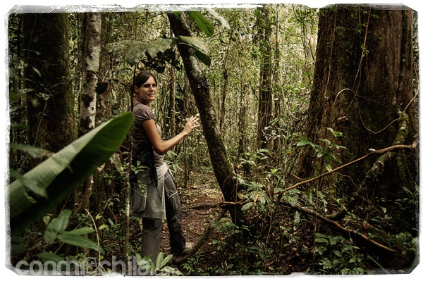 La espesa jungla