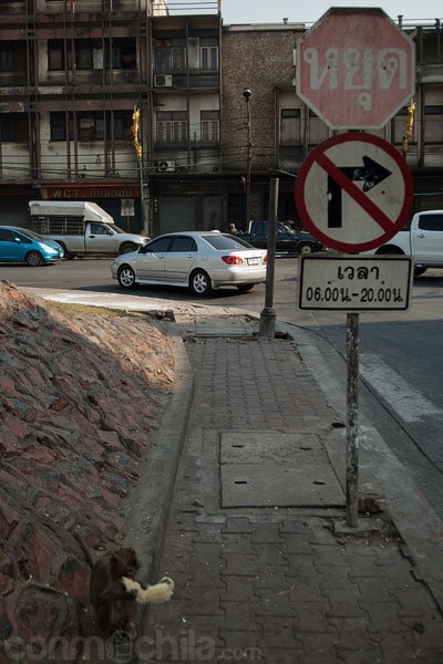 Aquí estamos...