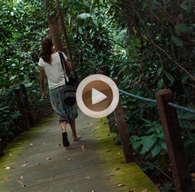 Vídeo 9 Singapur