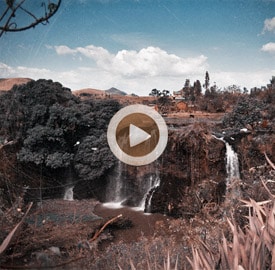 Vídeo 48 Madagascar