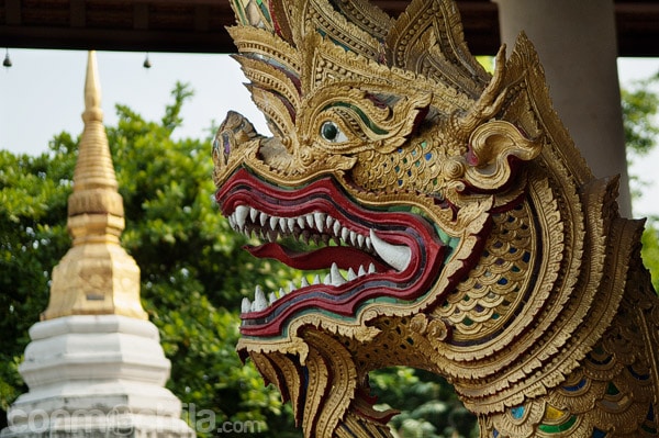 Detalle de una naga