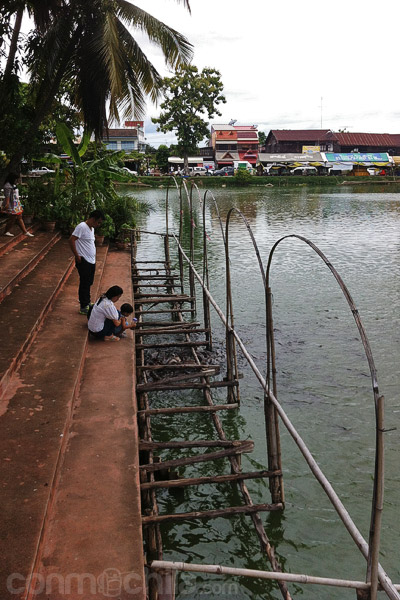 La gente dando de comer a los peces