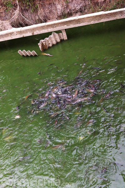 ¿Hay hambre o qué?