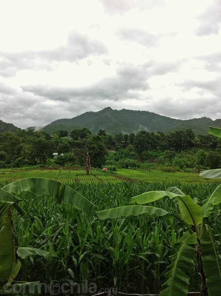 Vistas de los alrededores