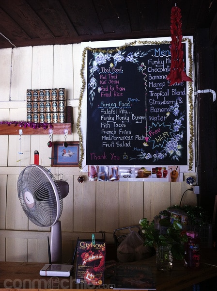 Detalle de las especialidades
